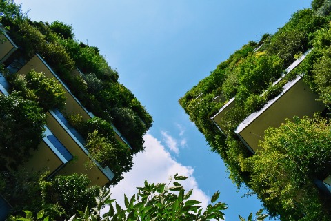 Vertical Forest